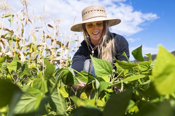 Agriculture Definition: Understanding the Backbone of Human Civilization