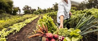 Importance of Agriculture
