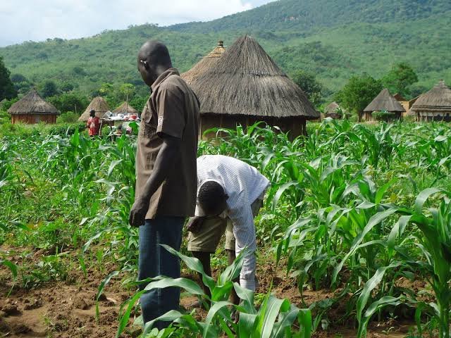 The Future of Farming: Innovations, Challenges, and Opportunities