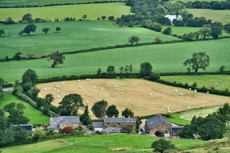 Regenerative Agriculture: A New Dawn for Farming