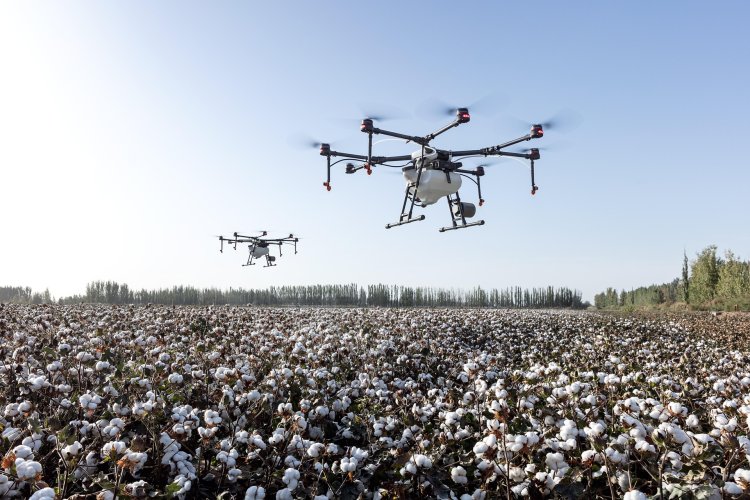 Artificial Intelligence in Agriculture: Revolutionizing Farming for a Smarter Future