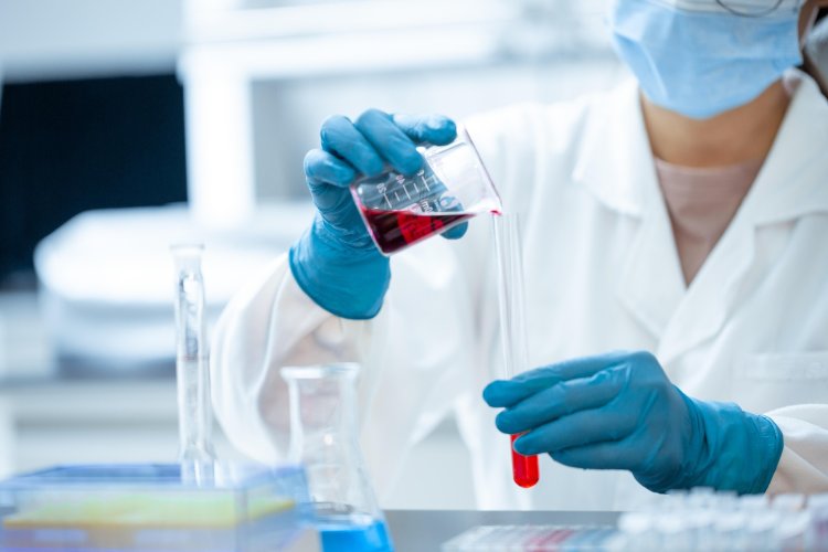 Understanding Biotechnology. Could Biotechnology in Agriculture Be the Key to Feeding the Future?